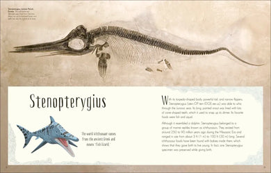 Dinosaurs and Other Prehistoric Life US - Hardback