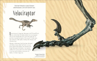 Dinosaurs and Other Prehistoric Life US - Hardback