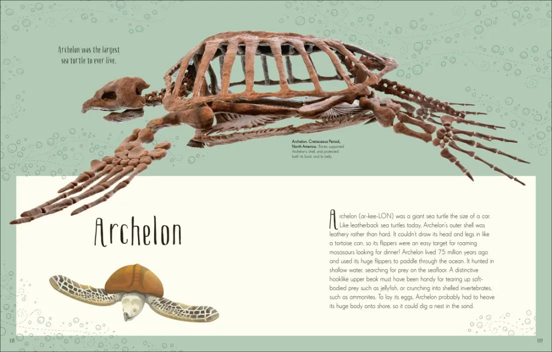 Dinosaurs and Other Prehistoric Life US - Hardback