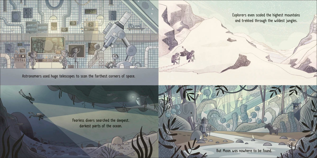 The Night The Moon Went Missing US - Hardback