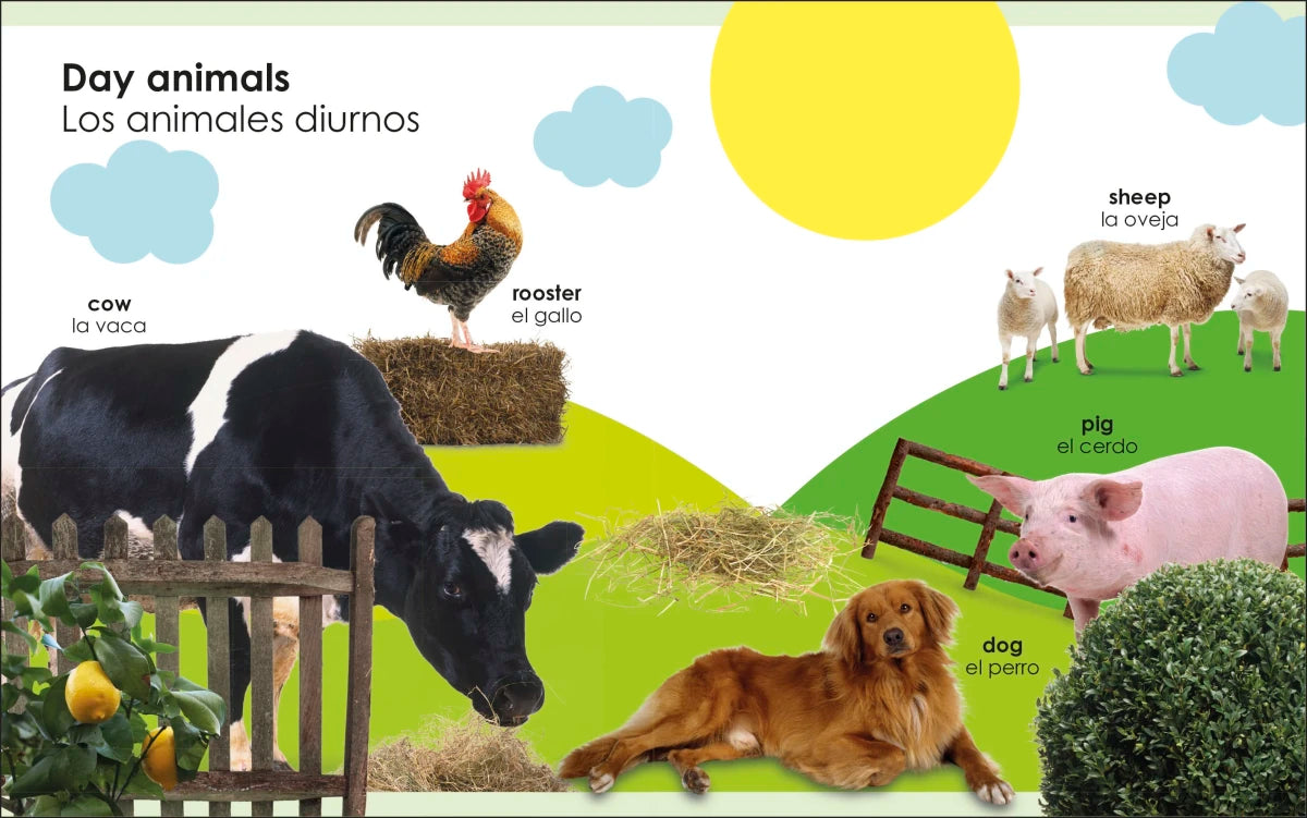 My First Bilingual Day and Night US - Board book