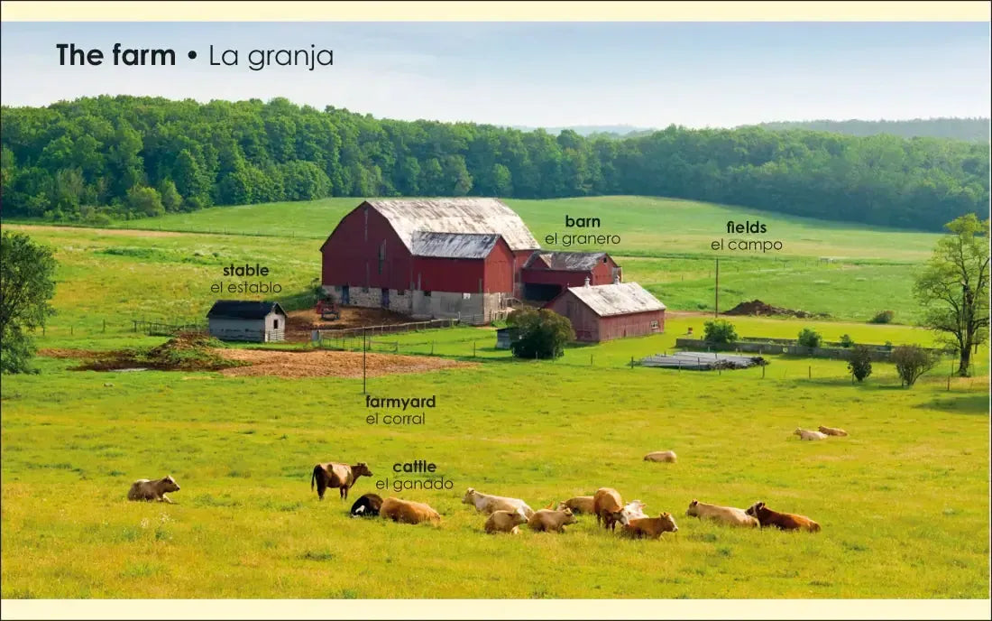 My First Bilingual Farm US - Board book