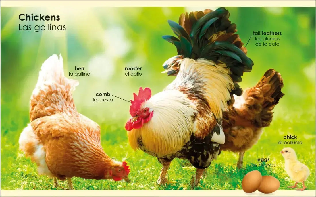 My First Bilingual Farm US - Board book