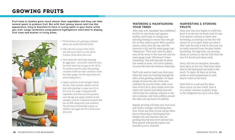 Hydroponics for Beginners US - Paperback / softback