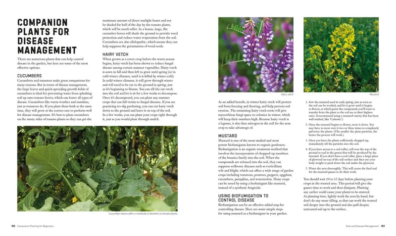 Companion Planting for Beginners US - Paperback / softback