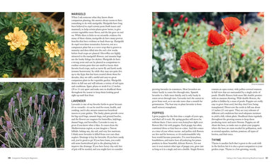 Companion Planting for Beginners US - Paperback / softback