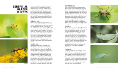 Companion Planting for Beginners US - Paperback / softback