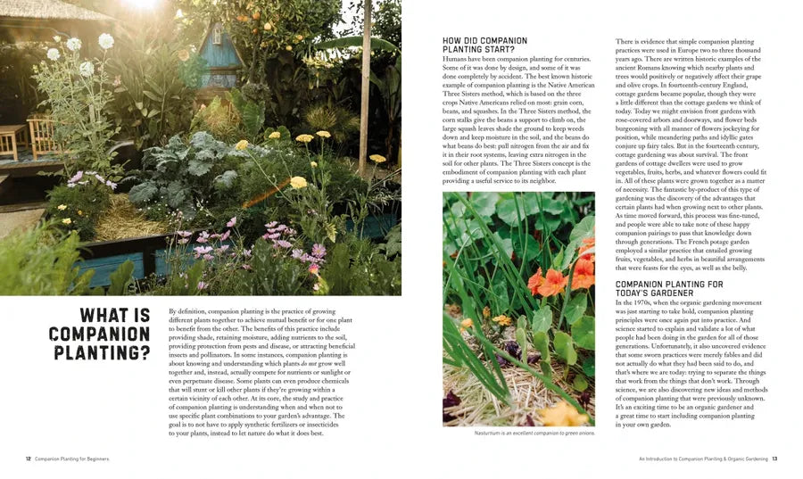 Companion Planting for Beginners US - Paperback / softback