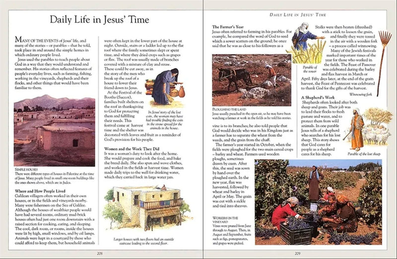 The Children's Pocket Bible US - Hardback