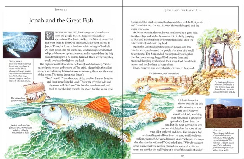 The Children's Pocket Bible US - Hardback