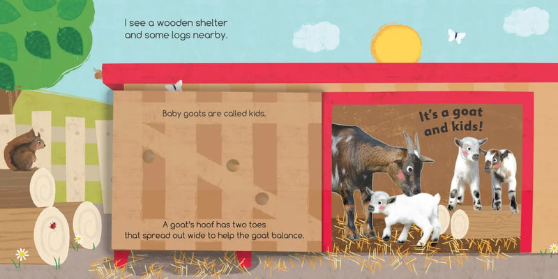 Flip Flap Find! Farm US - Board book