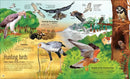 The Extraordinary World of Birds US - Hardback