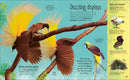The Extraordinary World of Birds US - Hardback