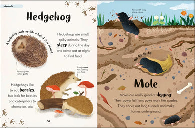 The Bedtime Book of Animals US - Hardback