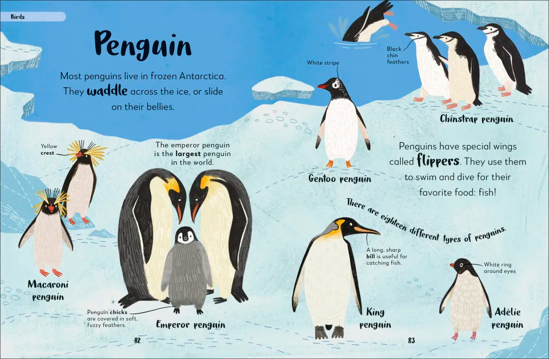 The Bedtime Book of Animals US - Hardback