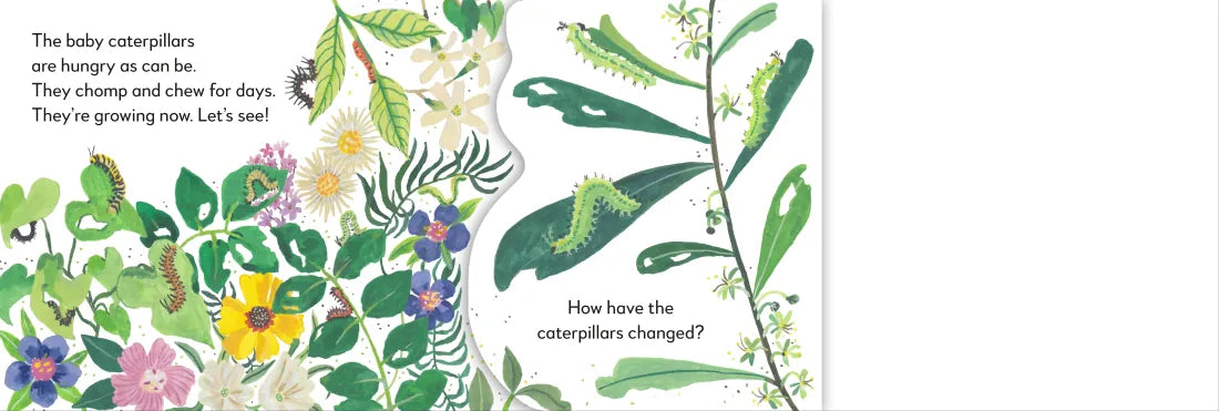 Pop-Up Peekaboo! Butterfly US - Board book