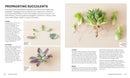 Succulents US - Paperback / softback