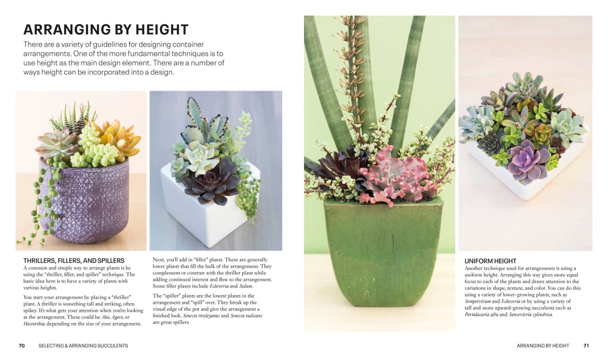 Succulents US - Paperback / softback