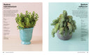 Succulents US - Paperback / softback