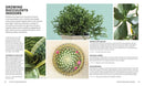 Succulents US - Paperback / softback
