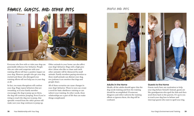 How to Train Your Dog US - Paperback / softback