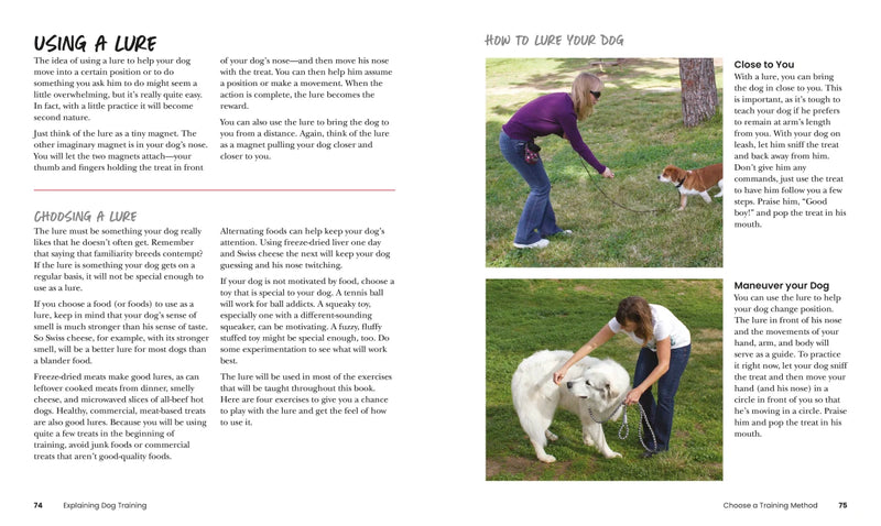 How to Train Your Dog US - Paperback / softback