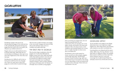 How to Train Your Dog US - Paperback / softback