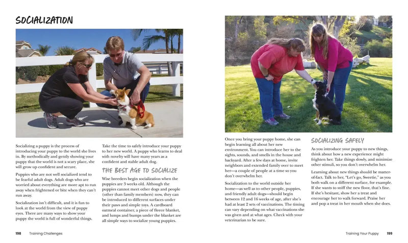 How to Train Your Dog US - Paperback / softback