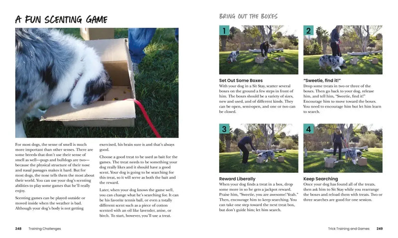 How to Train Your Dog US - Paperback / softback