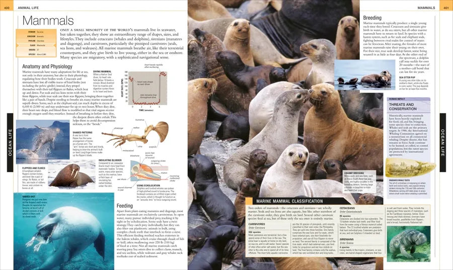Ocean, New Edition US - Hardback