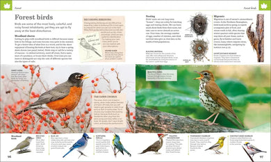 Nature Handbook US - Hardback