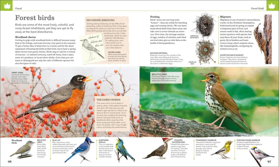 Nature Handbook US - Hardback