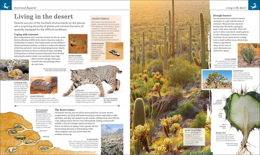 Nature Handbook US - Hardback