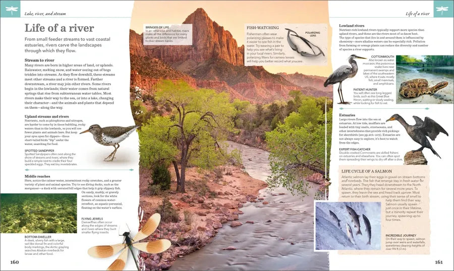 Nature Handbook US - Hardback
