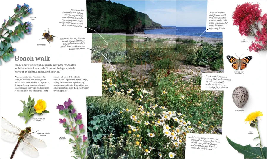 Nature Handbook US - Hardback