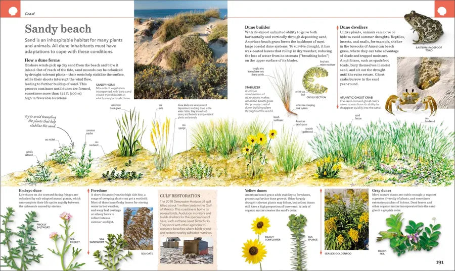 Nature Handbook US - Hardback