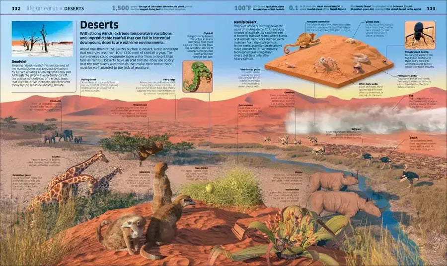 Knowledge Encyclopedia Planet Earth! US - Hardback