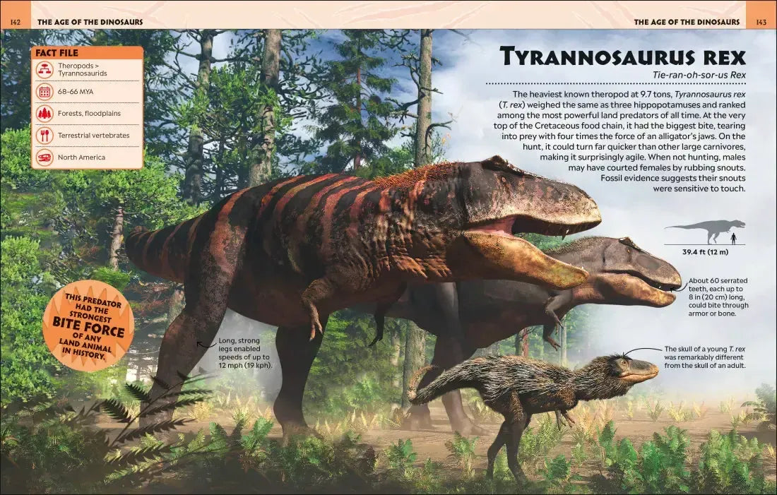 Extraordinary Dinosaurs and Other Prehistoric Life Visual Encyclopedia GB - Hardback
