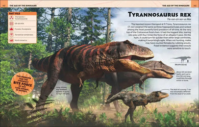 Extraordinary Dinosaurs and Other Prehistoric Life Visual Encyclopedia GB - Hardback