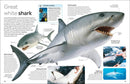 Eyewitness Shark US - Hardback