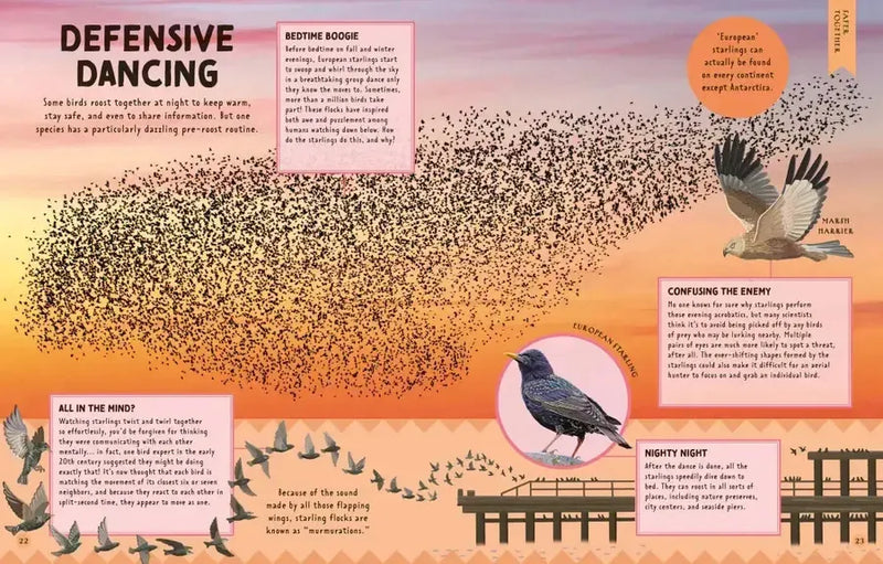 How Not to Get Eaten US - Hardback