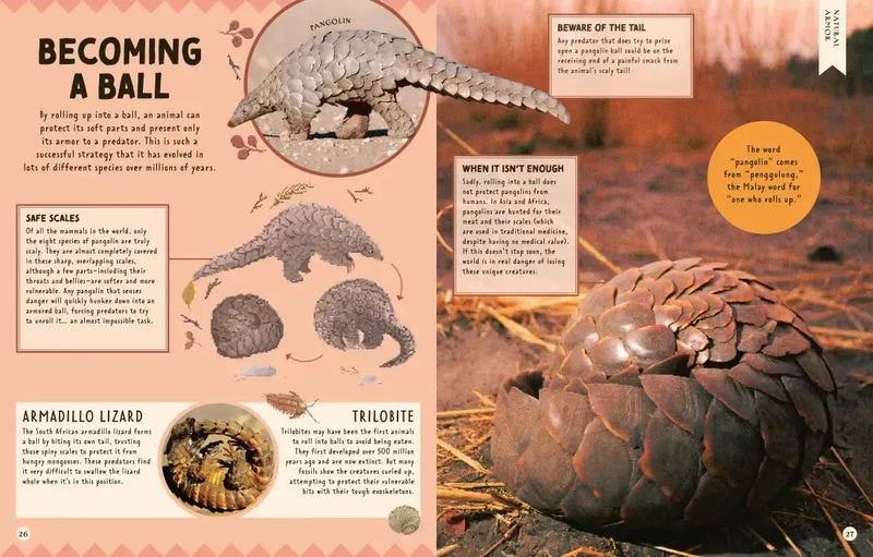 How Not to Get Eaten US - Hardback