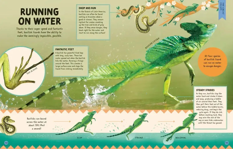 How Not to Get Eaten US - Hardback