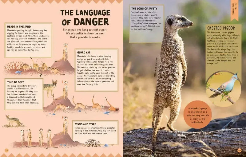 How Not to Get Eaten US - Hardback