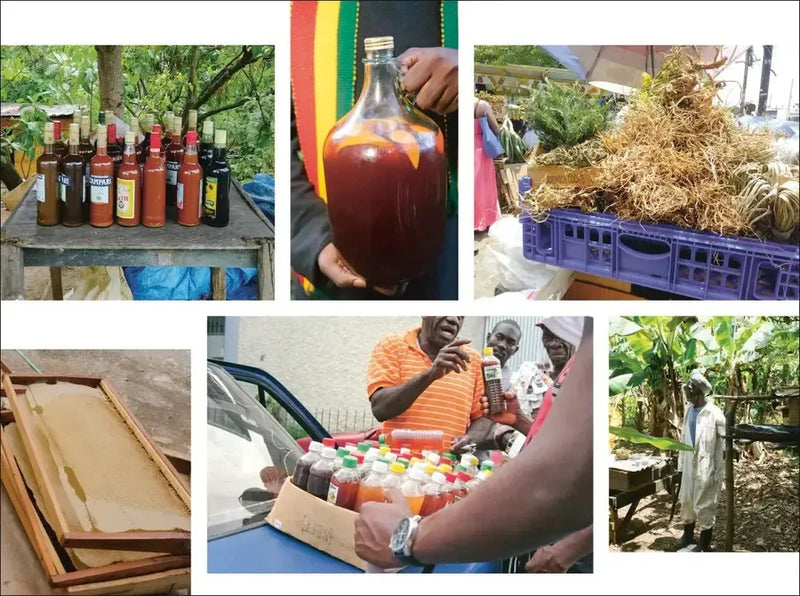 West Winds US - Hardback