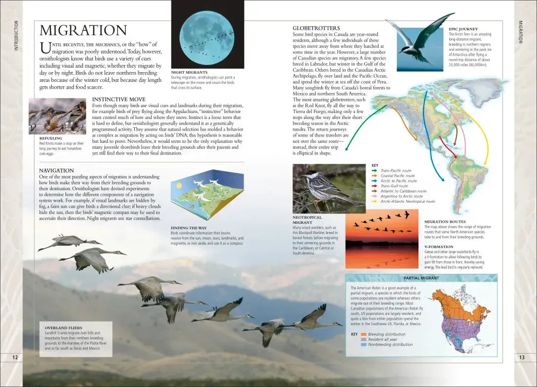Birds of Canada US - Book
