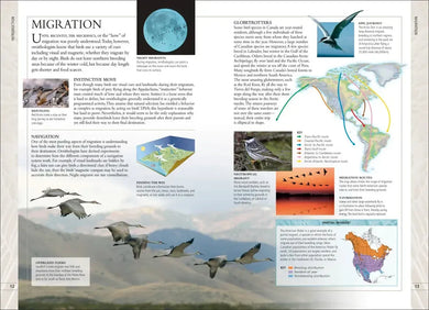 Birds of Canada US - Book