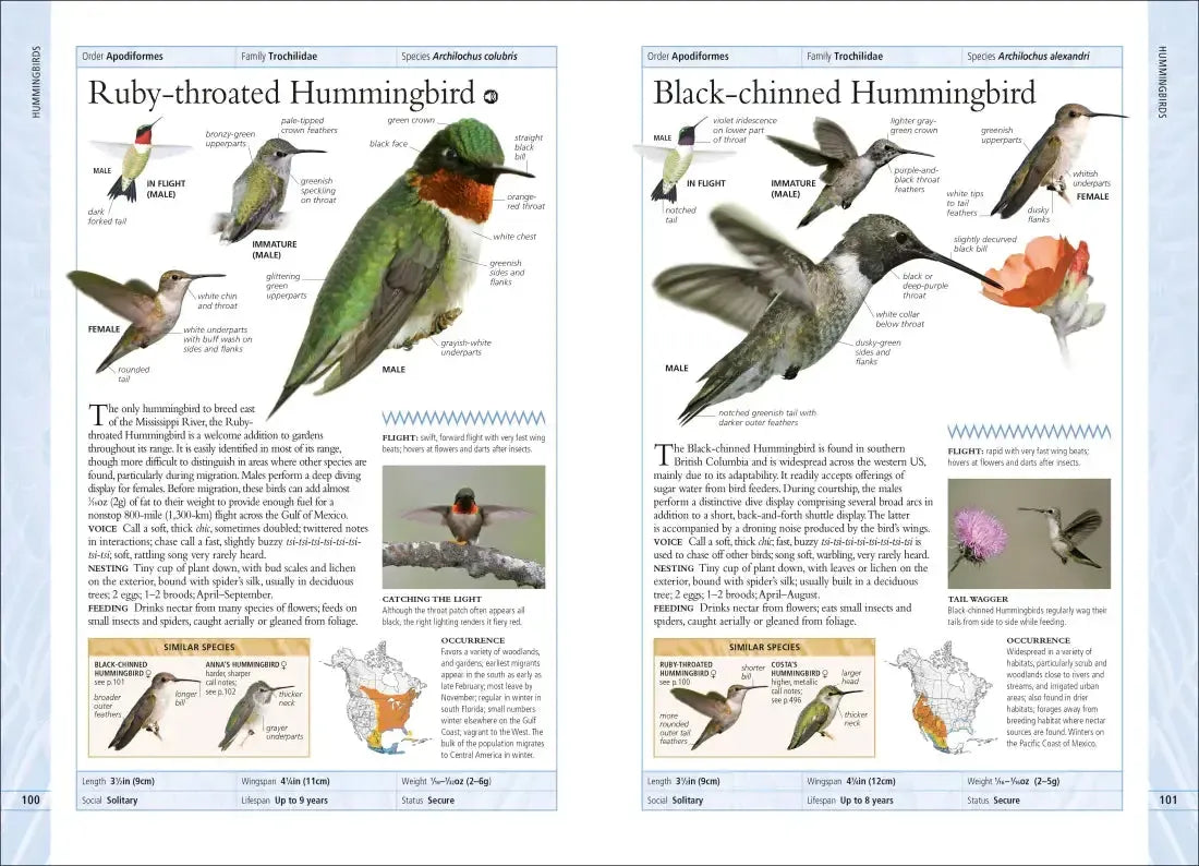 Birds of Canada US - Book