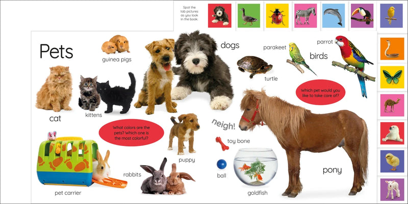 My First Animals: Let's Squeak and Squawk! US - Board book