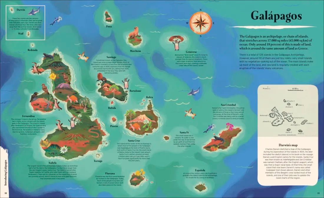 Galapagos US - Hardback